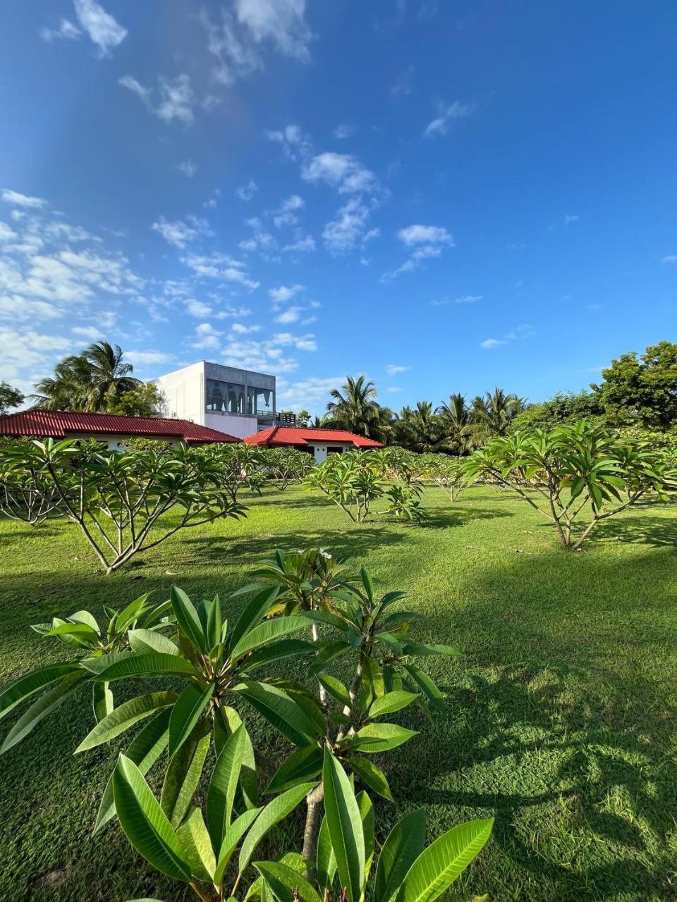 Nn Beach Resort & Spa Nilaveli Exterior photo